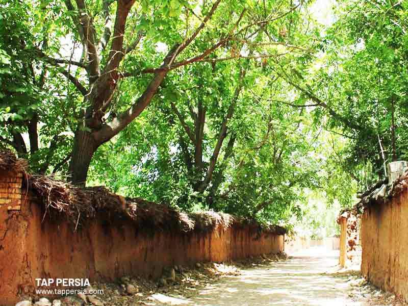 Qalat Village - Shiraz - Iran