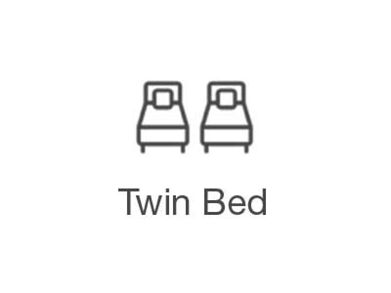 Twin room with private bathroom