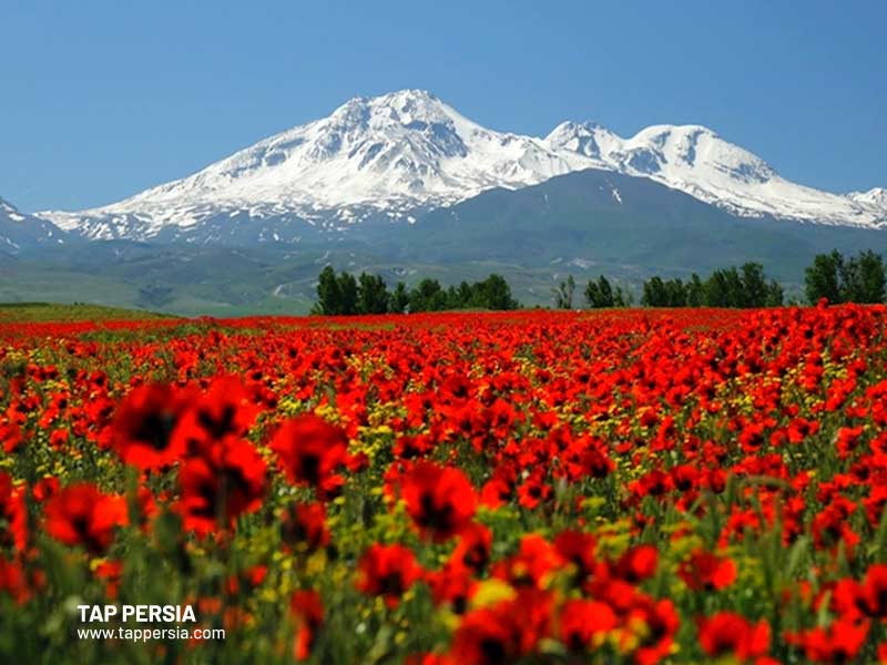 Sabalan Mountain - Iran