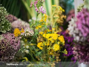 Iran Flowers Culture - TAP Persia