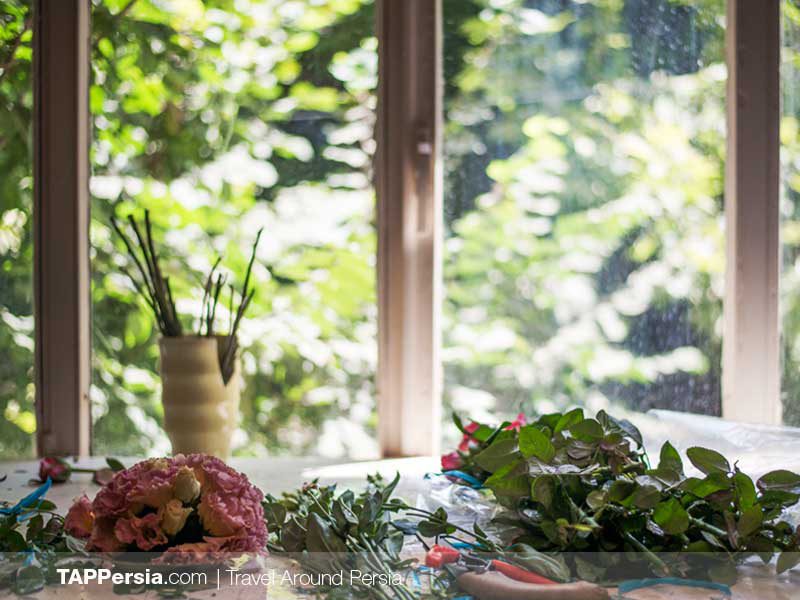 Iran Flowers Culture - TAP Persia