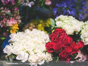 Iran Flowers Culture - TAP Persia