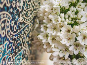 Iran Flowers Culture - TAP Persia