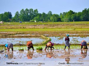 Lahijan, Siahkal and Deylaman
