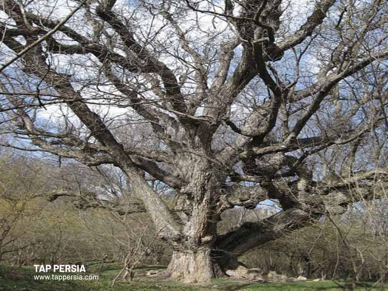 Hir Village - Qazvin Province - Iran