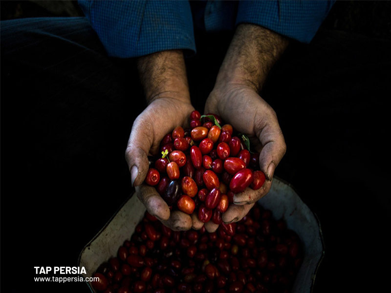Hir Village - Qazvin Province - Iran