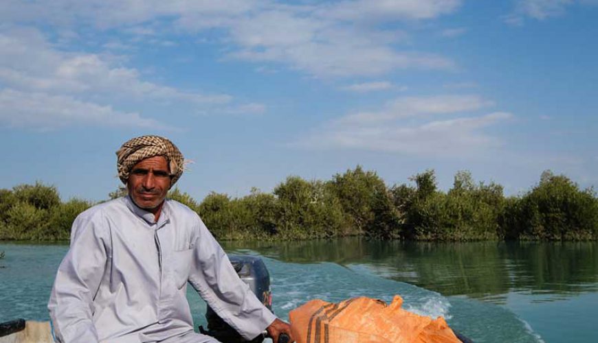 Harra Sea Forest