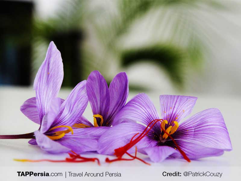 Saffron – The Secret Ingredient of Every Iranian Dish