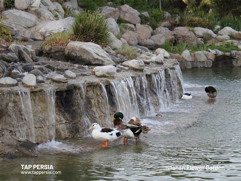flower garden of isfahan
