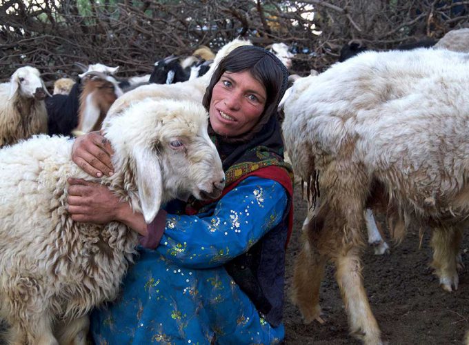 Kooch Tour, A Nomadic Life Experience