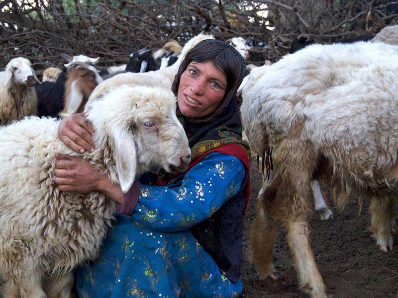 Kooch Tour, A Nomadic Life Experience