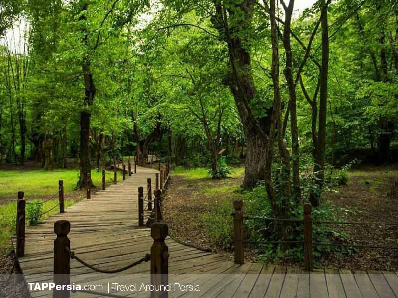 Caspian Sea - Iran - Gorgan