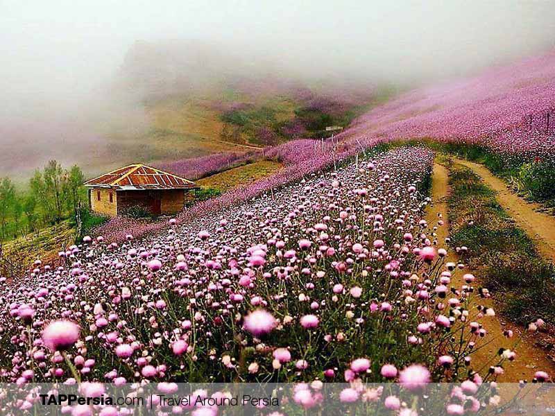 Caspian Sea - Iran - Talesh