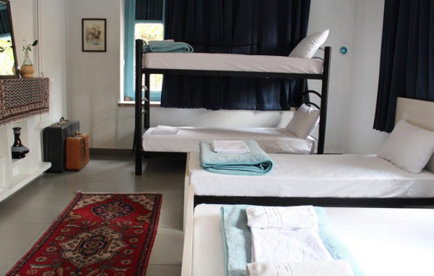 Hi Tehran Hostel I Tehran
