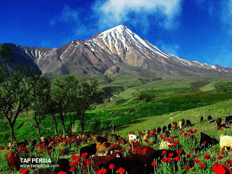 Best Time to Visit Iran