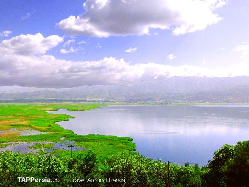 Don't Forget Bird-watching