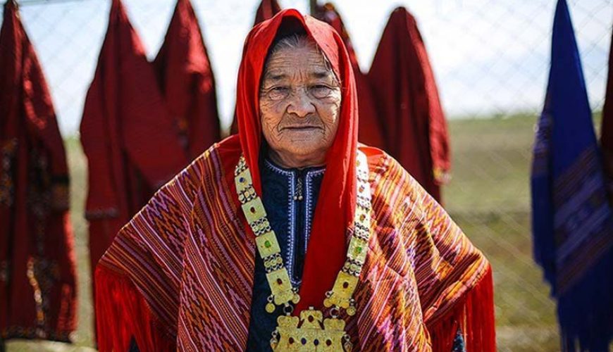 Iranian Turkmens
