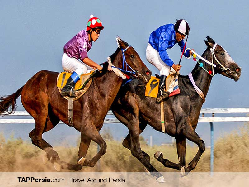 Iranian Turkmen - Turkmen horseracing
