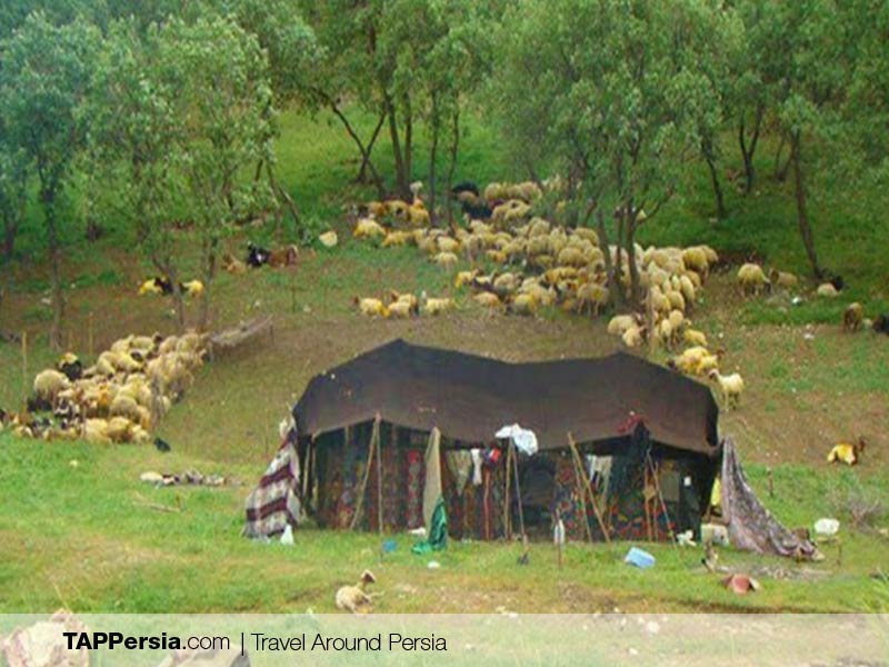 Lur Ethnic - Iran - Siah Chador