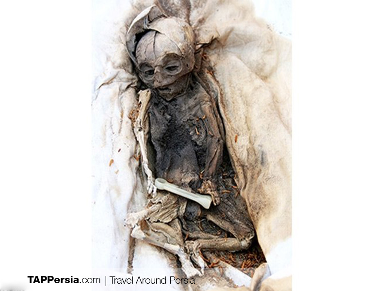 Persian Citadels Citadels in Iran - Mummy in Arge Bam - Tappersia