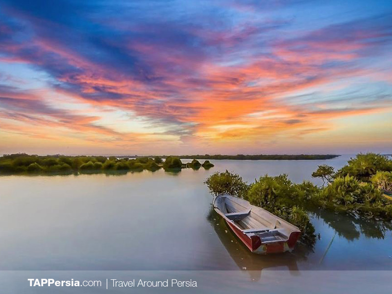 Top 10 Attractions In Qeshm Island - Hara Forest