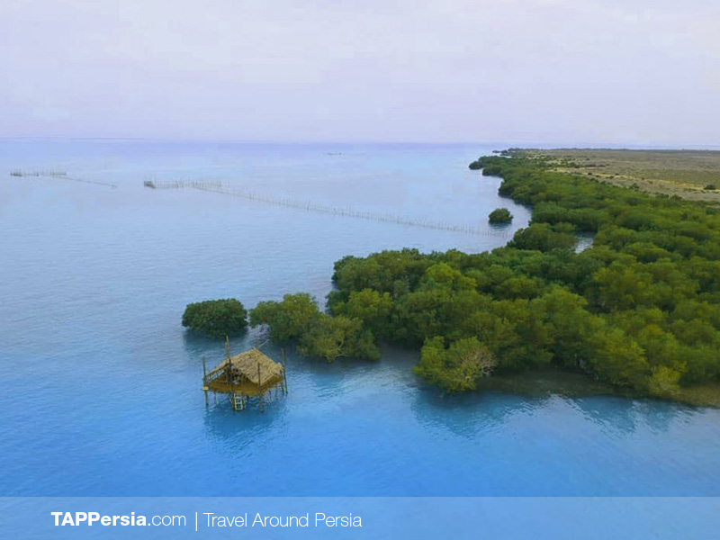 Top 10 Attractions In Qeshm Island - Hara Forest