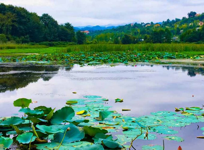 Haqiqiy hayotdagi voyeur pornosini tomosha qiling