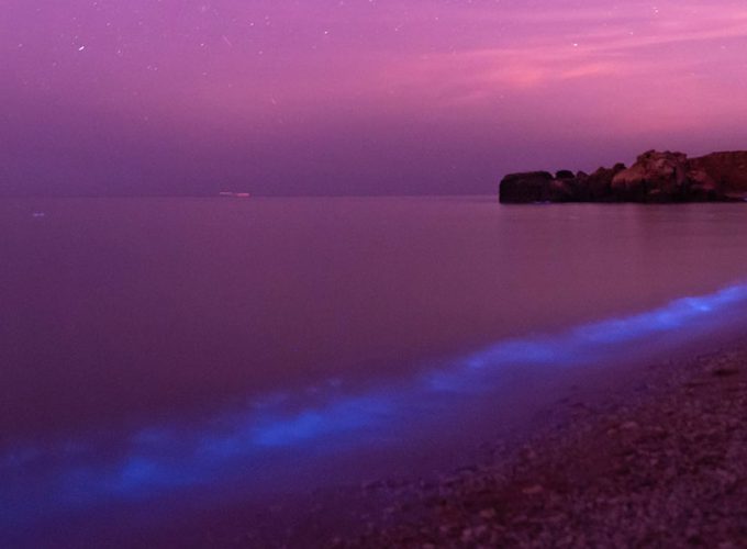 14 Days Persian Gulf Islands Tour
