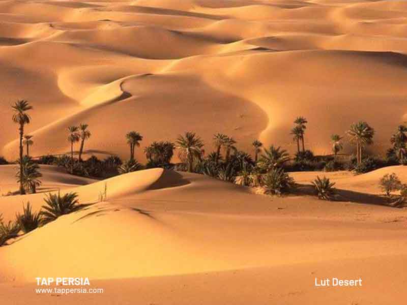 Lut-Desert