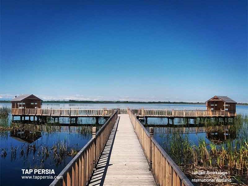Amirkalaye International Wetland