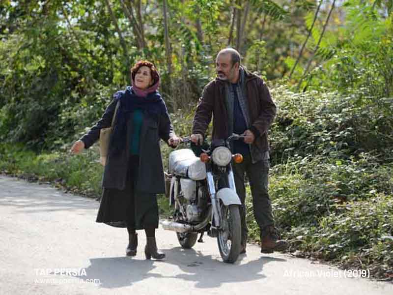 African-Violet-(2019)