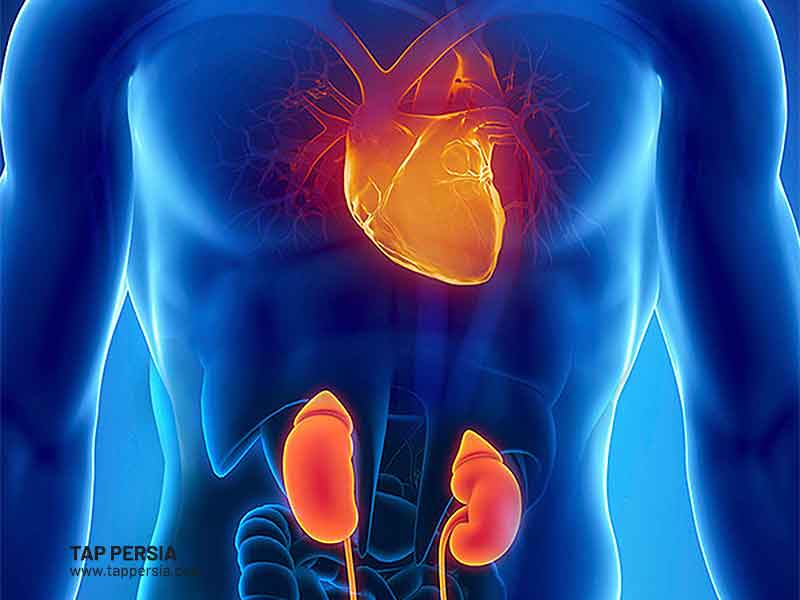 Heart and Kidney Problems