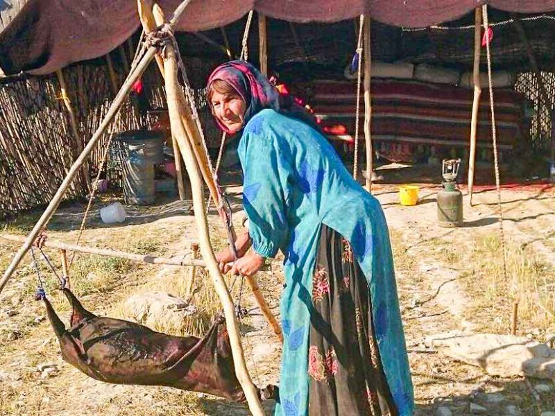 Qashqai tribe in Shiraz - Iran nomad tours