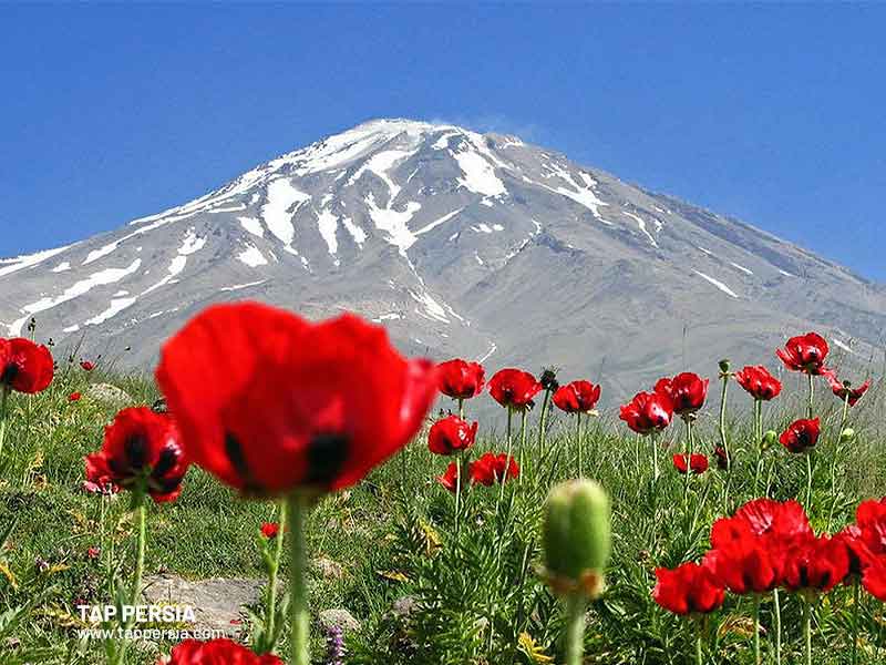 Myths of Damavand