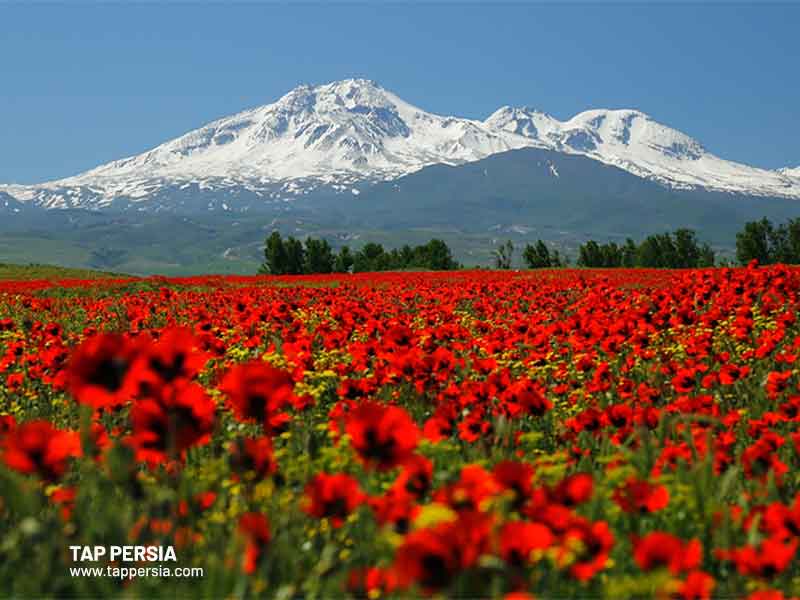 Stunning Mount Sabalan