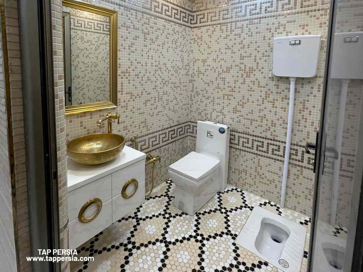 Iranian Toilets