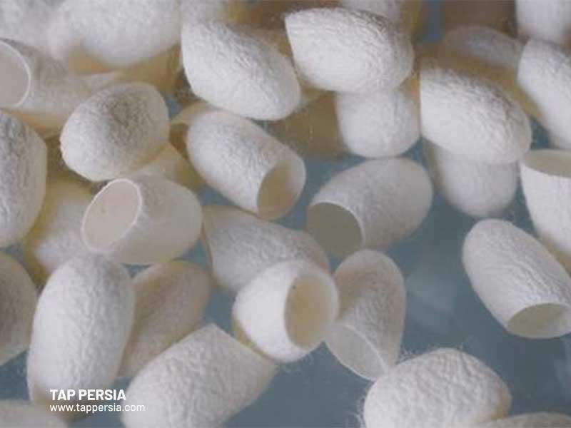 Persian rug materials