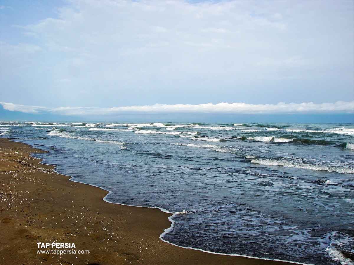 Caspian Coastline