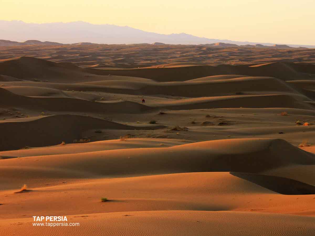 desert in Iran