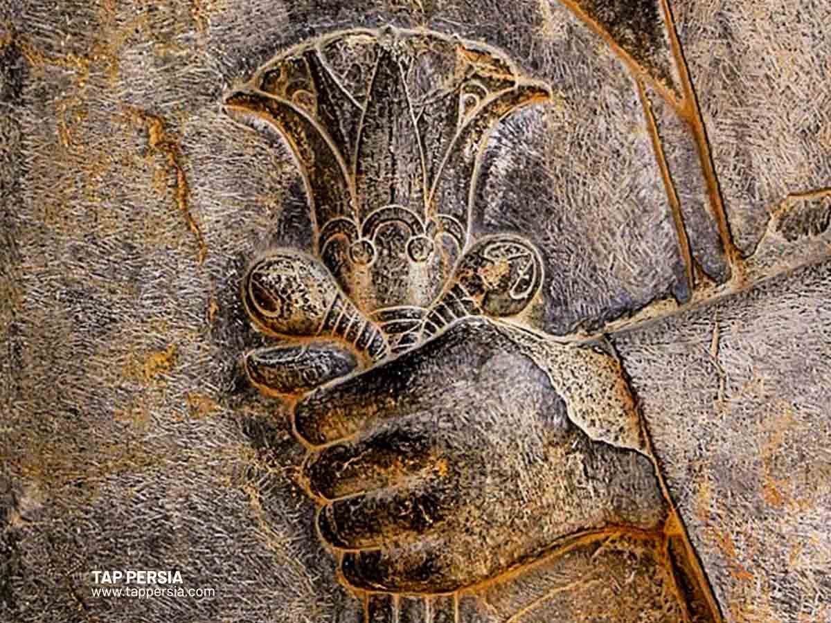 The Lotus in Persian Culture