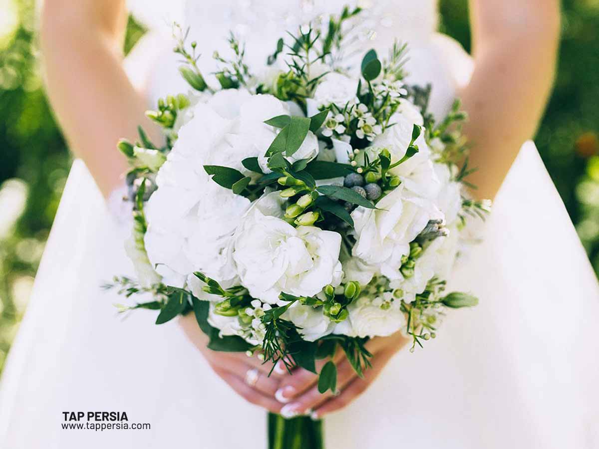 persian flowers flower of iran