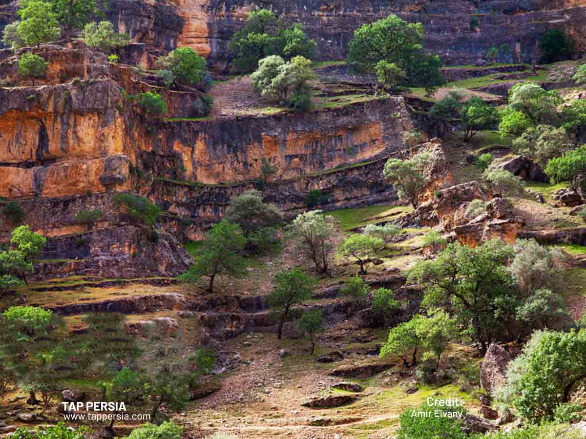 The Formation of Shirez Canyon