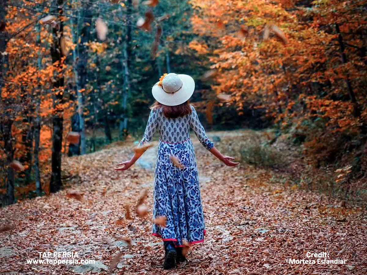 autumn in iran