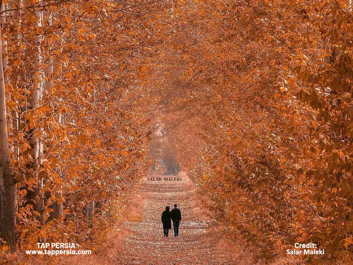 iranian Fall Festivals and Traditions