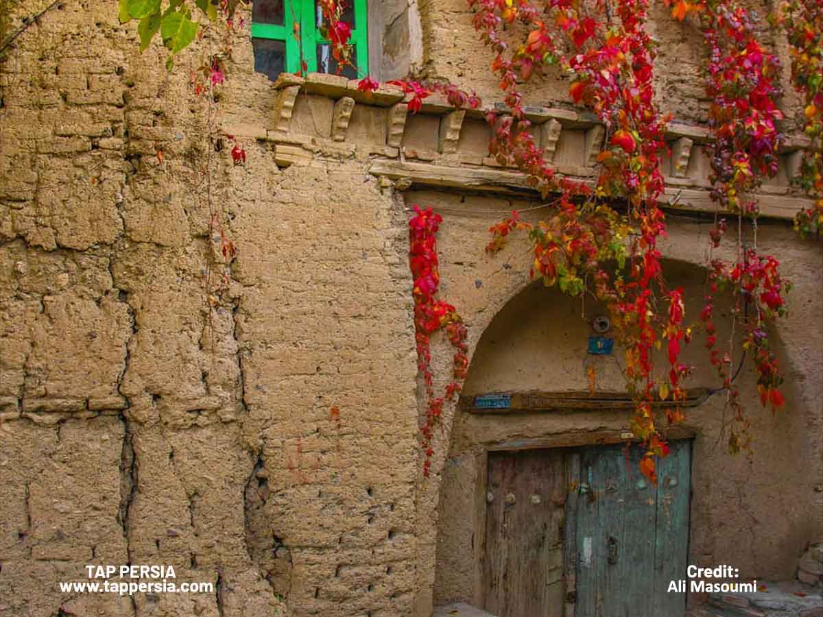 Embrace the Colors of Autumn