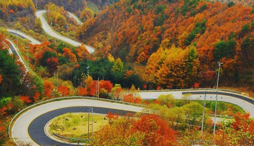 Chalus Road