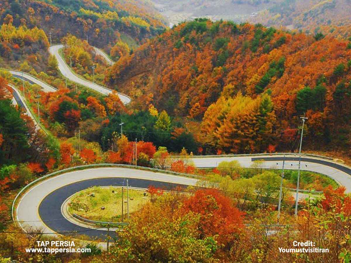 Chalus Road