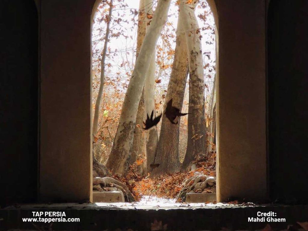 Historical Context and Symbolism