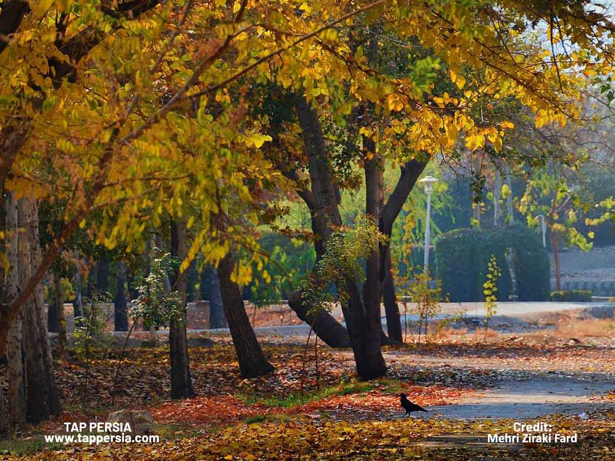 Stunning Natural Landscapes