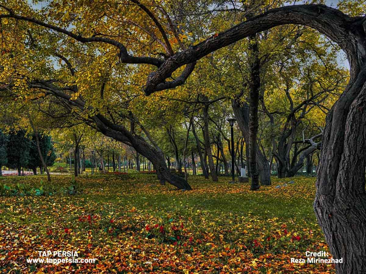 Unwind in Traditional Persian Gardens